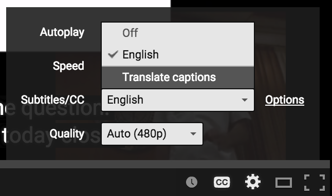 auto translate youtube subtitles