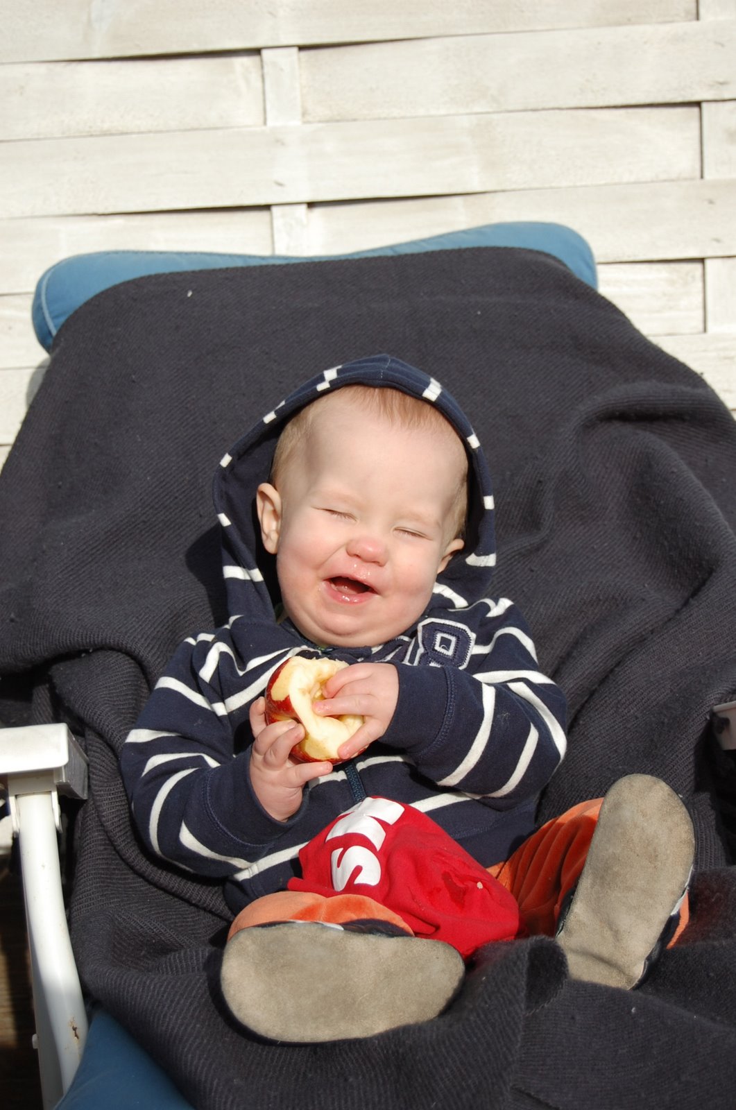 Abbe is enjoying an apple in the sun